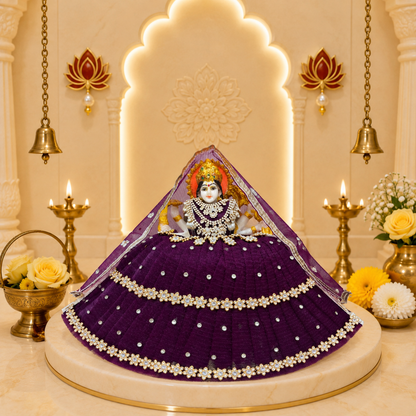 Shubh Shakti Mata Rani Dress
