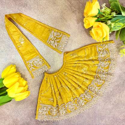 Swarna Mahima Mata Rani Dress