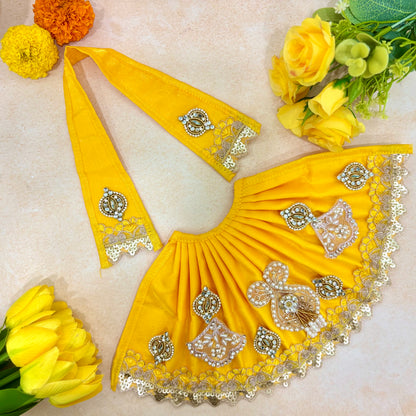 Peetambarii Shringar Mata Rani Dress