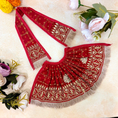 Prakirti Vaibhav Mata Rani Dress