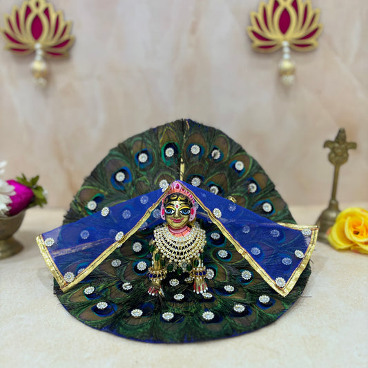 Mayur Shakti Radha Rani Dress