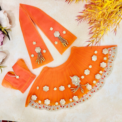 Kesar Aanand Mata Rani Dress