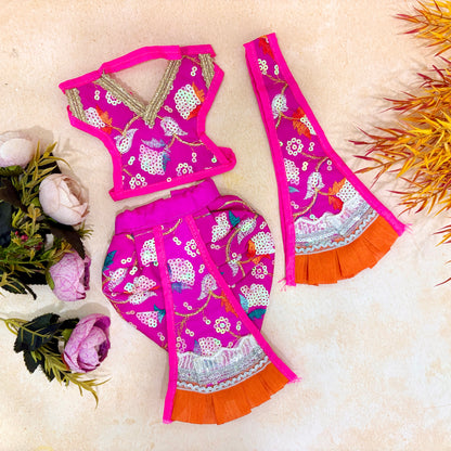 Gokulvihari Radhe Krishna Dress