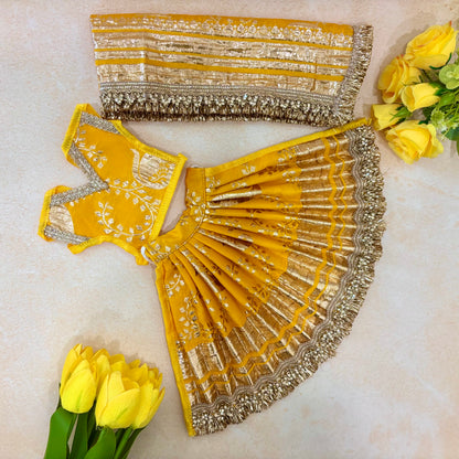 Rajkanak Mata Rani Dress