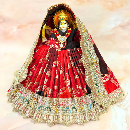 Kanakprabha Durga Maa Dress